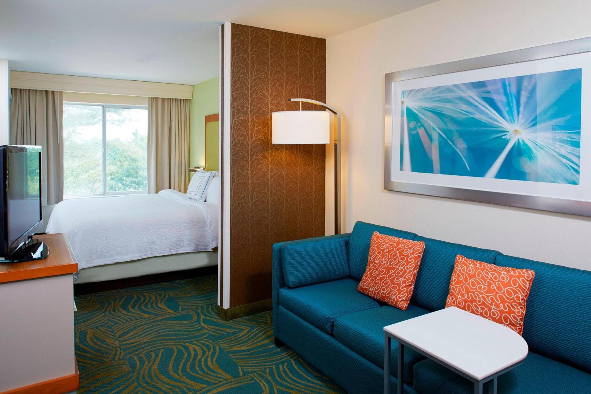 Springhill Suites By Marriott Atlanta Six Flags Lithia Springs Luaran gambar